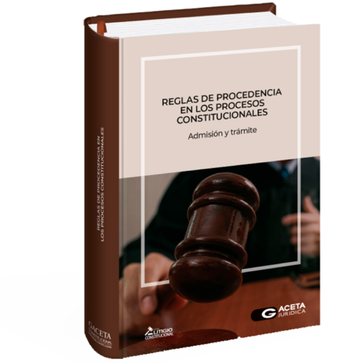 Reglas de procedencia en los procesos constitucionales