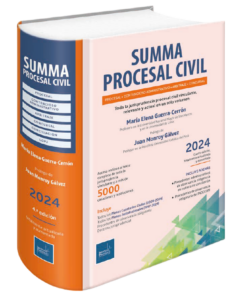 Summa Procesal civil 2024