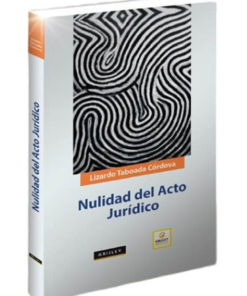 Nulidad del Acto Jurídico