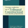 Principios establecidos por el tribunal constitucional en su doctrina jurisprudencial